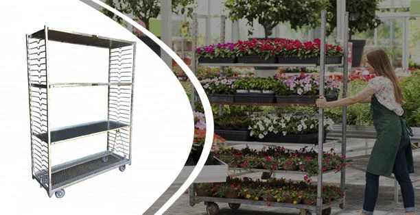 Šiltnamio krepšelis