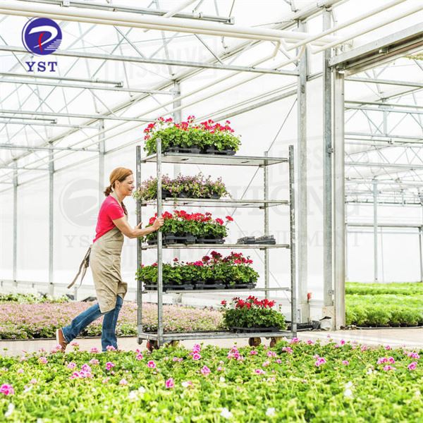 Gėlių transportavimo stovas