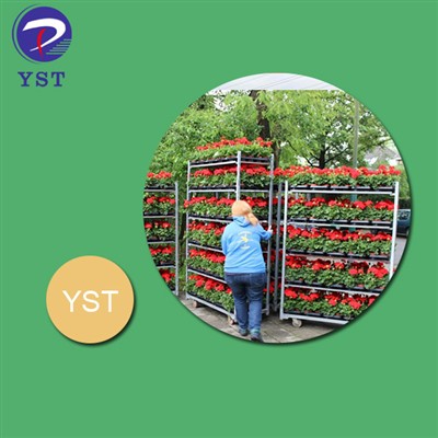 Maksimalus gėlių pristatymo efektyvumas naudojant daniškus vežimėlius