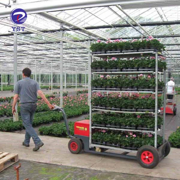 Nursery Cc Plant Racks