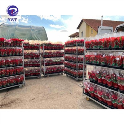 Šiltnamio vežimėlis transportavimui