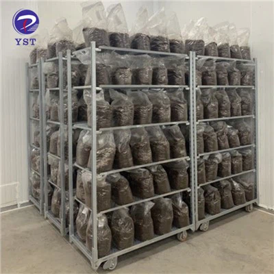 Darželio laikymo lentynos